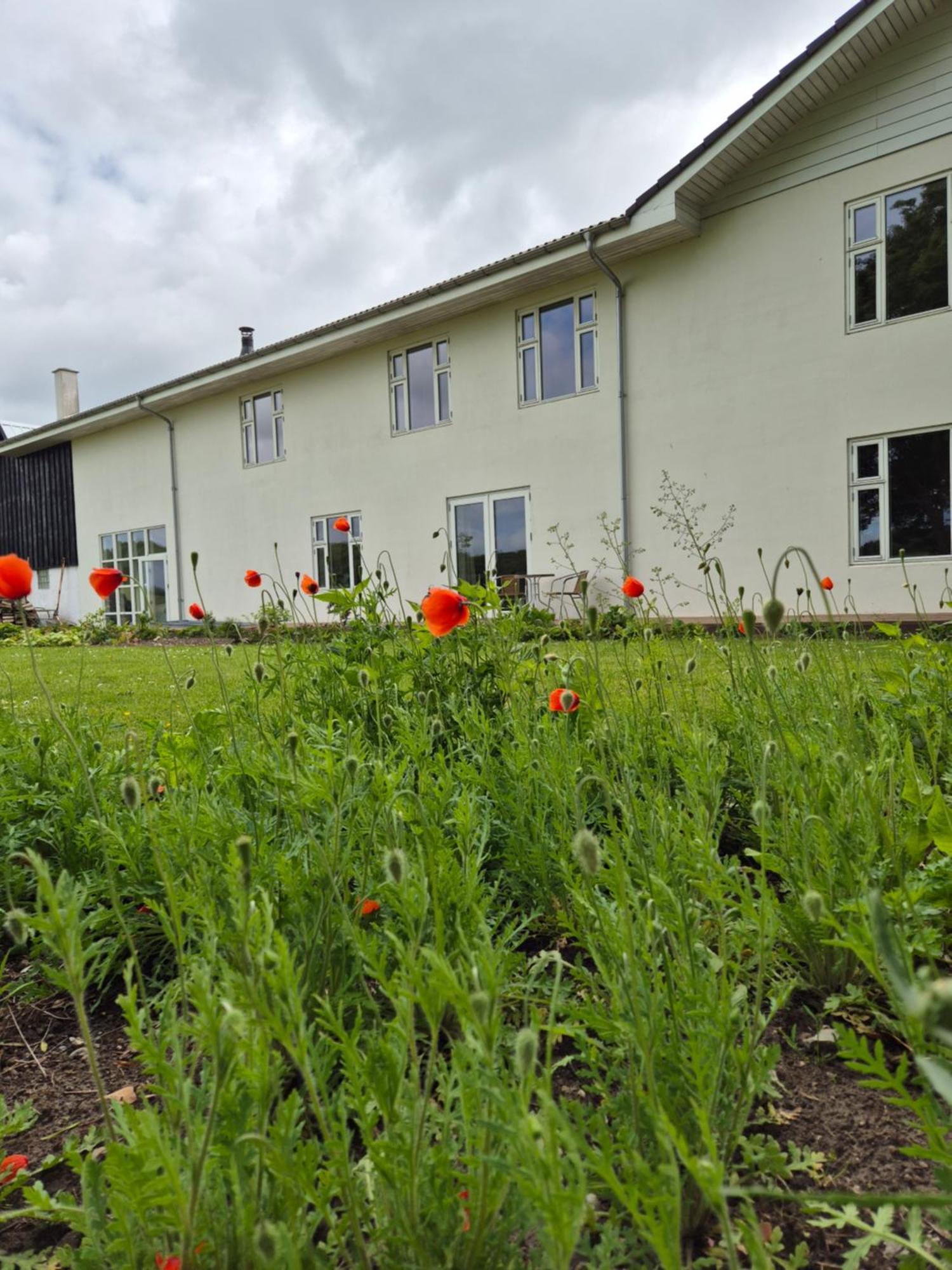 Mols Bed & Breakfast Knebel Exteriér fotografie