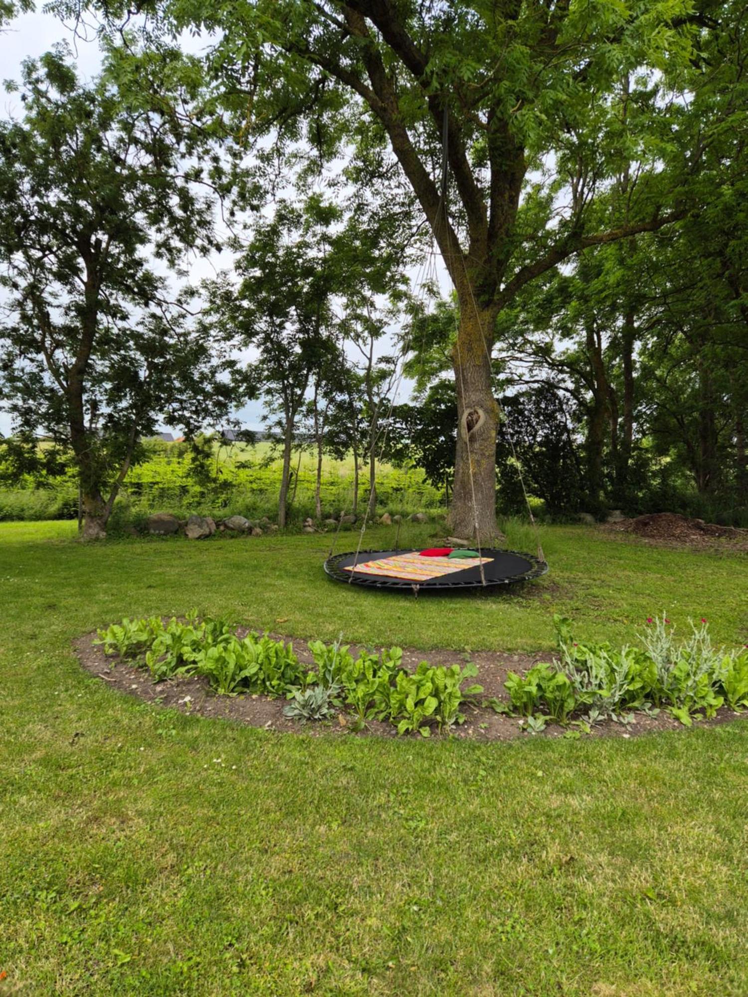 Mols Bed & Breakfast Knebel Exteriér fotografie