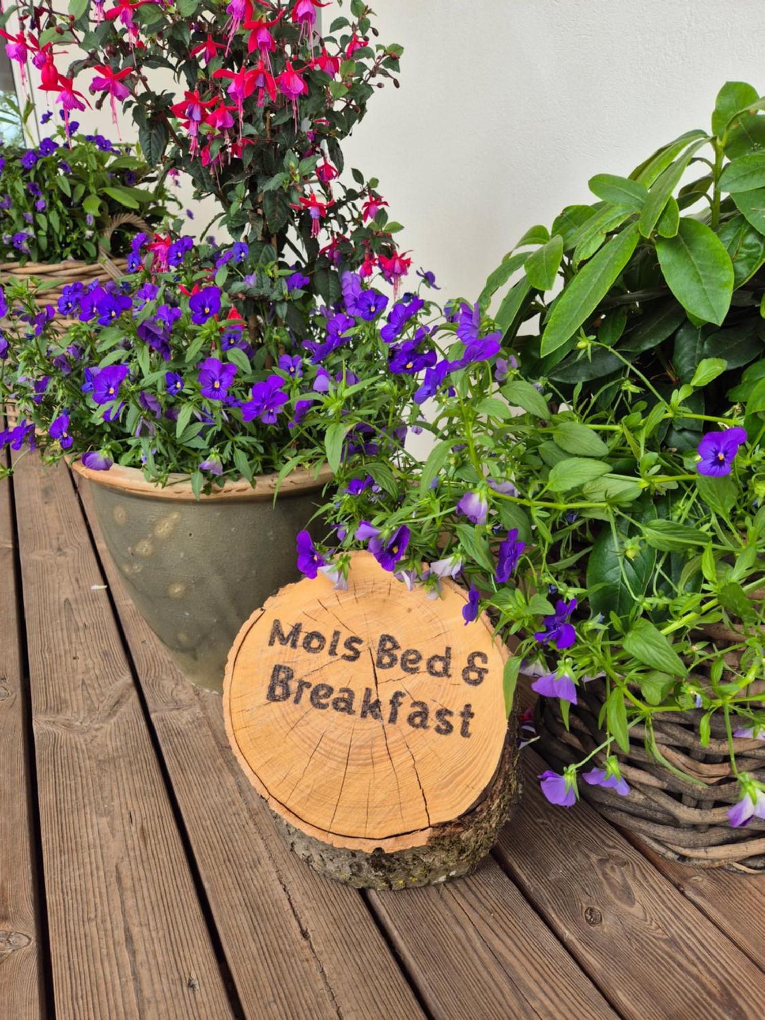 Mols Bed & Breakfast Knebel Exteriér fotografie